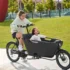 SachsenRAD T8 Grand Modern eldriven lastcykel